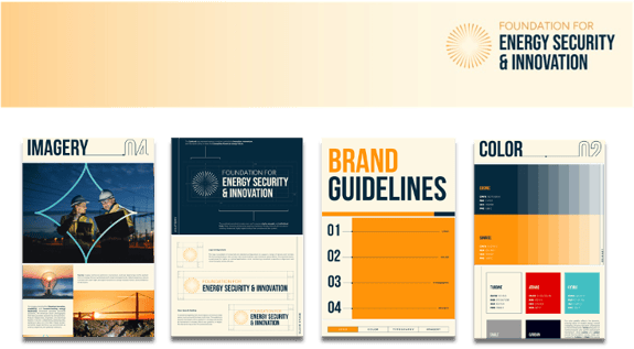 FESI Case Study Image