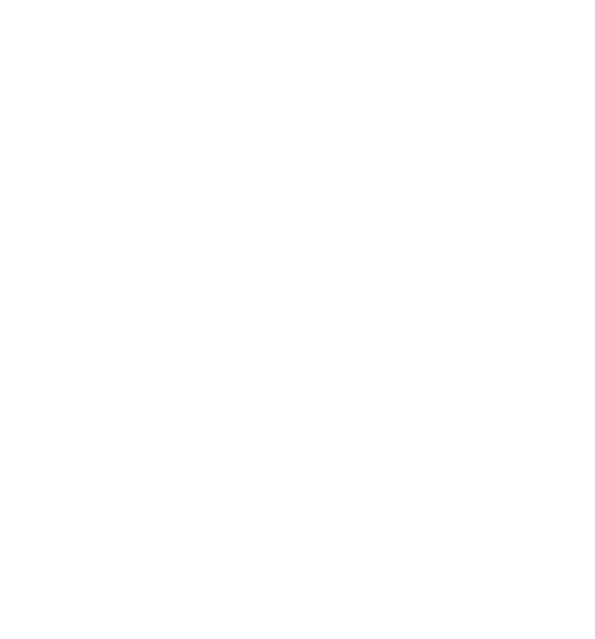 Apex Award Logo White